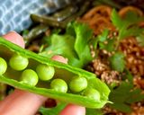 Hình bước làm 2 của món Mì Cay Trộn Đậu Que Tím