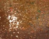 A picture of step 3 of Poblano Guinness and bacon chili.