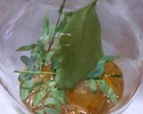Foto del paso 4 de la receta: Lista para el 1 de Agosto !! Grapa con ruda
