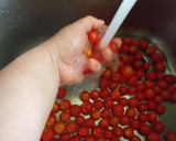 Foto del paso 1 de la receta: Salsa de tomates cherrys 🍅