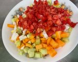 Une image de l'étape 10 de Salade composée de melon, tomates, concombre, oignon doux, feta et menthe.