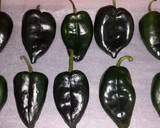 Foto del paso 1 de la receta: Pimientos Poblano Empanizados Rellenos Con Cordero Rallado Y Queso