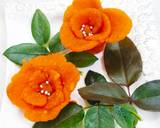 Valentine Roses recipe step 5 photo