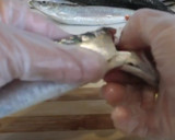 Foto del paso 1 de la receta: Cómo limpiar sardinas para freír