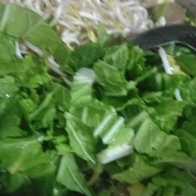 Langkah 4
