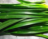 Foto langkah ke 1 dari resep (2.28) Pandan Extract (Sari Pandan).