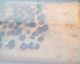 Foto del paso 2 de la receta: Focaccia deliciosa de aceitunas negras y cebolla