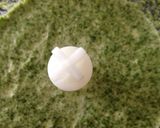 Foto del paso 2 de la receta: Panqueques de rúcula