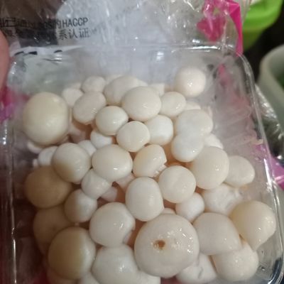 Langkah 1