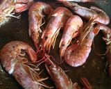 Foto del paso 2 de la receta: Rossejat (arroz con sepia y gambones)