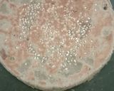 A picture of step 3 of Sesame Bajra Roti.