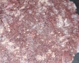 A picture of step 3 of Beetroot Flavored Ragi and Oats Roti.