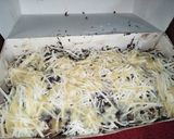 Foto langkah ke 7 dari resep Pisang Nugget Sederhana.
