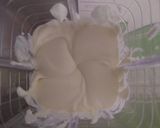 Foto del paso 11 de la receta: Yellow submarine