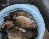 Hình bước làm 2 của món Lẩu cá dìa mùng tơi