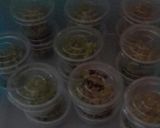 Foto langkah ke 7 dari resep Tape ketan daun katuk pakai presto.