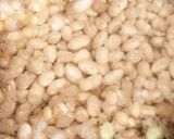Foto del paso 1 de la receta: Porotos Con Mazamorra