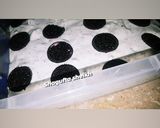 A picture of step 4 of Oreo biscuits ice cream 🍦.