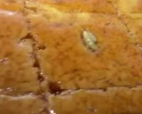 A picture of step 8 of Basbousa.