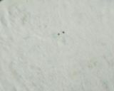 A picture of step 5 of Moli ke parhate.