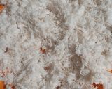 Foto langkah ke 1 dari resep Putu Ayu Labu Parang.
