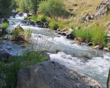 عکس مرحله 9 از دستور جوجه کباب با آبغوره در طبیعت