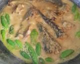 Foto langkah ke 2 dari resep Ikan Patin Santan Pedas.