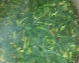 A picture of step 3 of Afan mi soup.