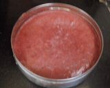 A picture of step 3 of Watermelon slush.