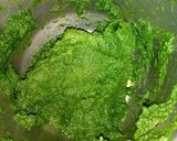 शेपूची पातळ भाजी (Shepuchi Patal Bhaji Recipe In Marathi) रेसिपी स्टेप 4 फोटो 