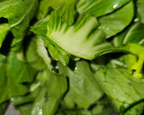 Foto del paso 1 de la receta: Salteado de Pack Choi y brócoli