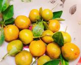 Hình bước làm 2 của món Mứt hạnh