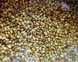 গ্রীন মুগ ডালের কারি (green moong dal curry recipe in Bengali) রেসিপি ধাপ - 1 ছবি