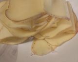 Foto del paso 1 de la receta: Rodaballo con pimientos, cebolla y patatas "al dente" en freidora de aire