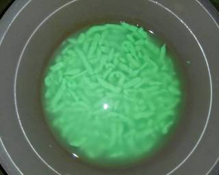 ES Cendol Seadanya - Step 5