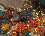 Foto langkah ke 3 dari resep Sambal Brambang Asem Kangkung ala Heni.