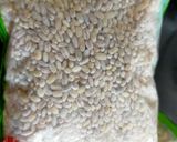 A picture of step 1 of Barley Water.