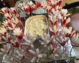 Une image de l'étape 7 de Jardin de fleurs de radis roses tartinade feta citron ciboulette.