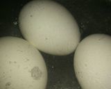 Foto del paso 1 de la receta: Albondigón sorpresa