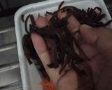 Foto langkah ke 2 dari resep Soun Goreng Ayam.