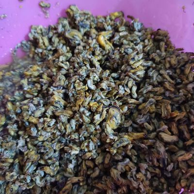 Langkah 1