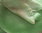Foto langkah ke 8 dari resep Dadar Gulung Unti Kelapa (#pekaninspirasi).