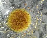 Foto del paso 9 de la receta: Ensalada de quinoa