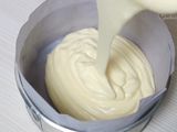 Souffle Yogurt