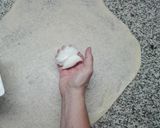 Foto del paso 7 de la receta: Ensaimadas