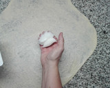Foto del paso 7 de la receta: Ensaimadas