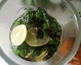 Mojitomatakin girki1 hoto