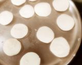 A picture of step 2 of Rasmalai.