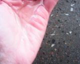 Foto del paso 19 de la receta: Bizcochitos de grasa