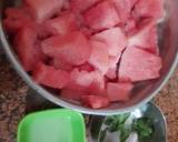 Water melon sorbet